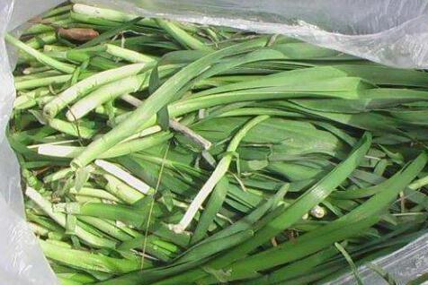 韭菜是发物吗，韭菜哪些人不能吃