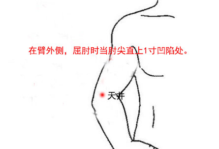 天井穴的最笨找法，天井的准确位置图和作用