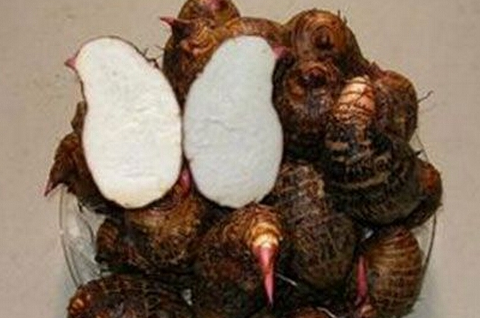 红芋头的功效与作用及禁忌