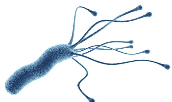 分餐太难，抗生素太刚…面对胃癌我们还能做什么？