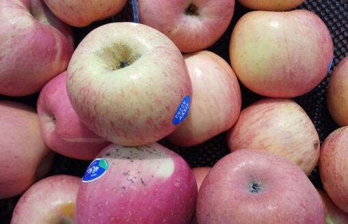 苹果的功效与作用及禁忌