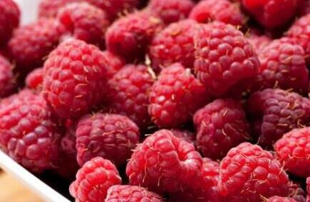 覆盆子茶有助于顺产么，覆盆子茶对孕妇的危害