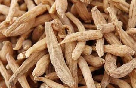 太子参上火还是去火，太子参的最佳配伍