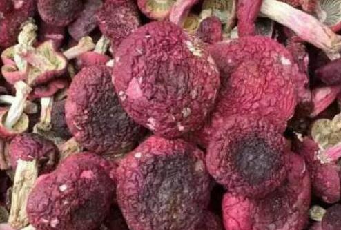 红菇什么人不适宜吃，吃红菇的禁忌