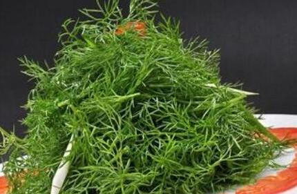 茴香对子宫有好处吗，男人不能吃茴香吗