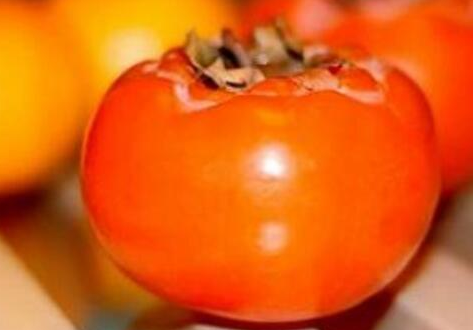 柿子和牛奶能一起吃吗，柿子和牛奶一起吃会中毒吗