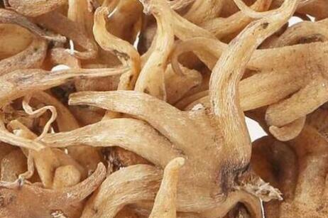 佛手的功效与作用及禁忌