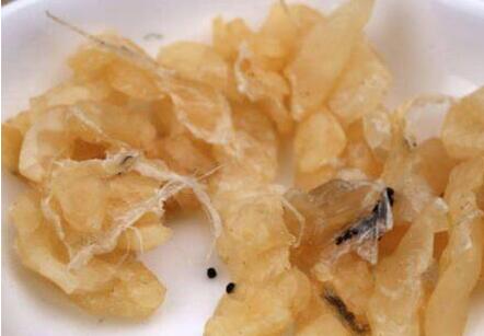 雪蛤对女性的功效与作用，女人雪蛤吃了最明显效果