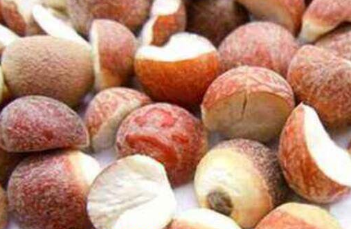 鸡头米和芡实的区别，吃鸡头米的禁忌