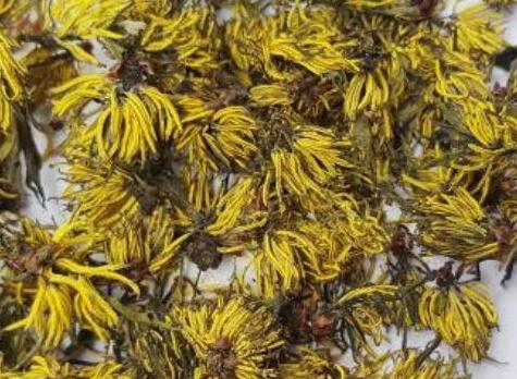 杜仲的功能主治及用法用量，杜仲的禁忌