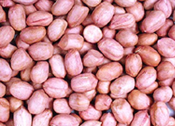 生花生米的功效与作用，花生米的禁忌与副作用