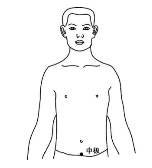 中极穴的作用，中极的准确位置图片