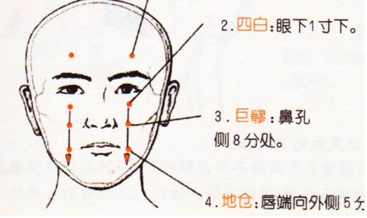 地仓穴怎么找？地仓准确位置图和作用