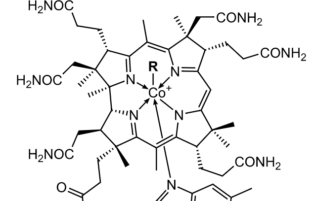 维b12又叫什么名称，维b12的功效与作用