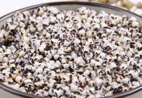 王不留行长什么样子图片，王不留行全草图片