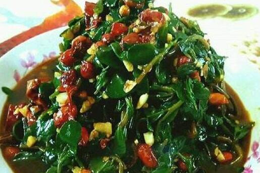 马齿苋怎么吃，马齿苋的食用方法