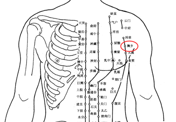 胸乡穴的最笨找法，胸乡的准确位置图和作用