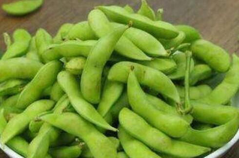 毛豆是黄豆吗，毛豆和黄豆一样吗