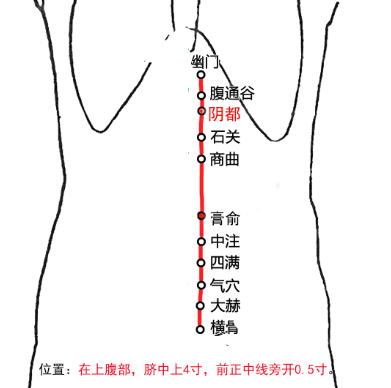 阴都穴的定位，阴都的准确位置和作用