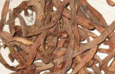 骨碎补怎么吃，骨碎补怎么治斑秃