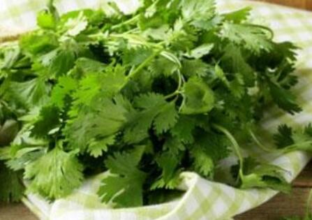 香菜的功效与作用及禁忌