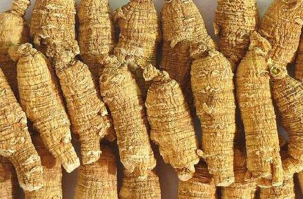 花旗参和西洋参的区别，西洋参和花旗参哪个好