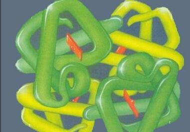 多肽和蛋白质的区别,多肽和蛋白质的关系