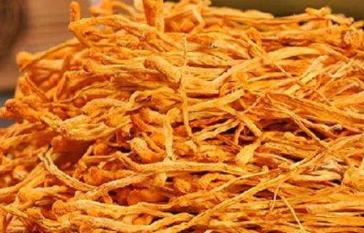 虫草花的功效与作用及禁忌