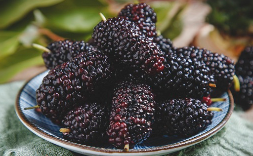 桑葚的禁忌症,4类人群不宜吃桑葚