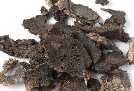 玄参的功效与作用，玄参的副作用与禁忌