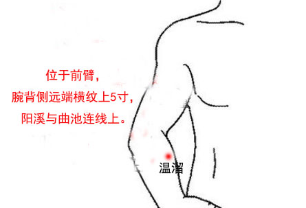 温溜穴简易定位，温溜的准确位置图和作用