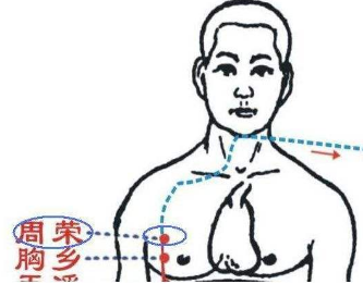 周荣穴的作用与功效，周荣的准确位置图