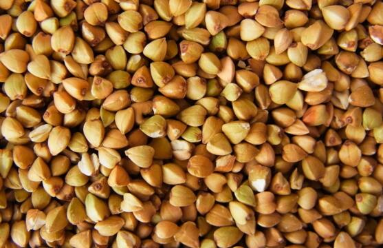 苦荞茶的功效与作用 苦荞茶的禁忌