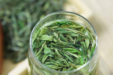 白茶属于什么茶，白茶属于绿茶吗