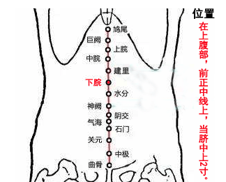 下脘穴的最笨找法,下脘的准确位置图和作用