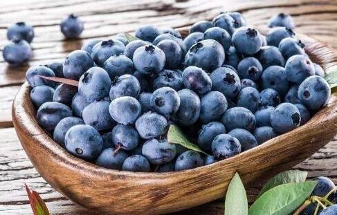 蓝莓怎么洗才干净,蓝莓可以直接带皮吃吗
