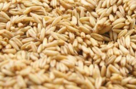 麦片的功效与作用及禁忌，麦片最简单的吃法