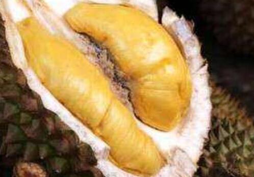 榴莲籽可以吃吗，榴莲怎么吃好吃