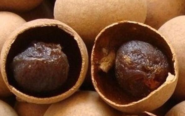 桂圆干的功效与作用，桂圆干怎么吃最有营养