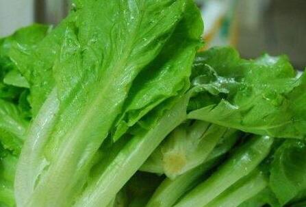 生菜可以生吃吗，生菜的功效与作用禁忌