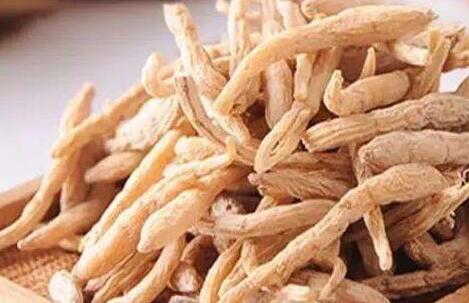 脾虚用党参还是太子参，党参和太子参哪个好