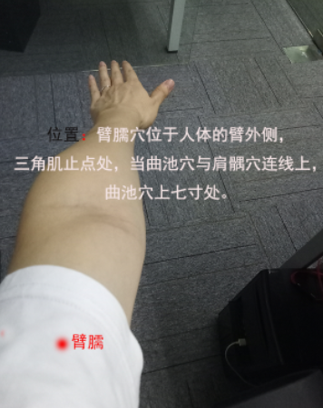 臂臑怎么读音？臂臑穴的准确位置图和作用