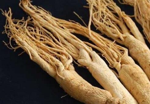 西洋参的功效与作用及禁忌