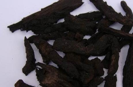 肉苁蓉能长期服用吗,肉苁蓉的危害极大