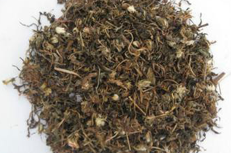 蒲公英的作用和功能主治，蒲公英三大功效