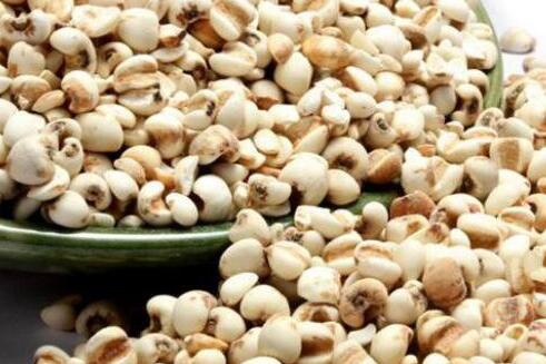 薏米的功效与作用，薏米的副作用和禁忌