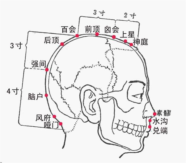 后顶穴的作用与功效，后顶的准确位置图