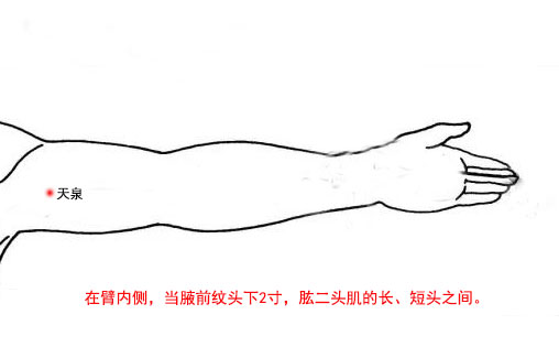 怎么找天泉穴最简单，天泉的准确位置图和作用