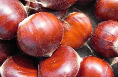 板栗怎么煮好吃又简单，如何煮板栗容易剥皮