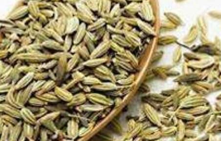 茴香泡水喝有什么功效，茴香泡水一天喝几回